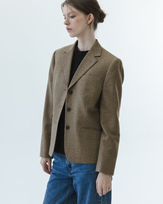 Brooks Brothers Fitted Blazer in Brown